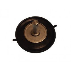 DIAPHRAGM ASSY