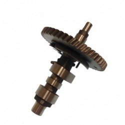 CAMSHAFT ASSY