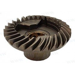 FORWARD GEAR ASSY