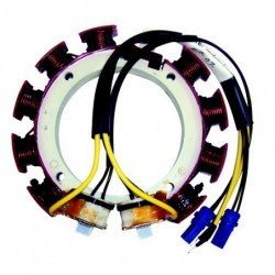 STATOR