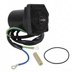 REC6D8-43880-09 - MOTOR...