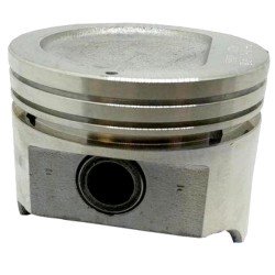 REC10003 - PISTON 4.1L 250...