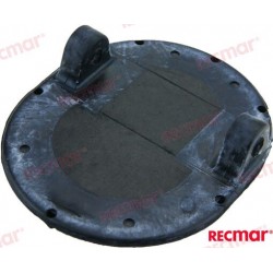 ZOMC3853864 - PALOMILLA...