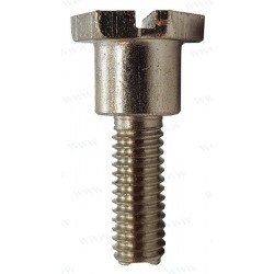 PLATE DRIVE BOLT